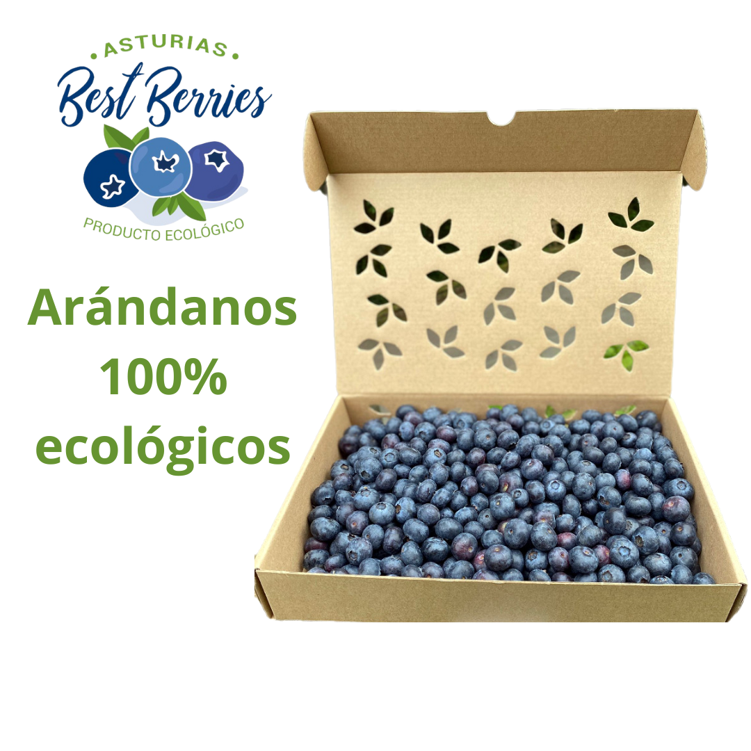 arándanos-ecológicos-tarrina-500g